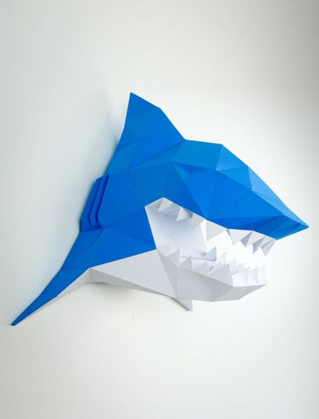 Tete de Requin bleu & blanc